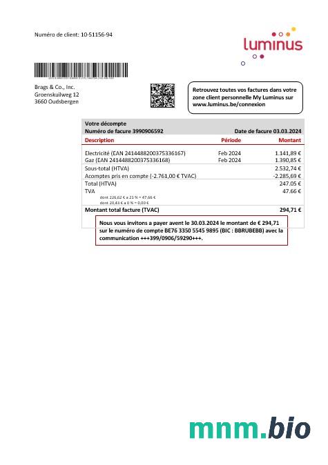 Belgia Luminus rachunek za usługi komunalne szablon w formacie Word i PDF